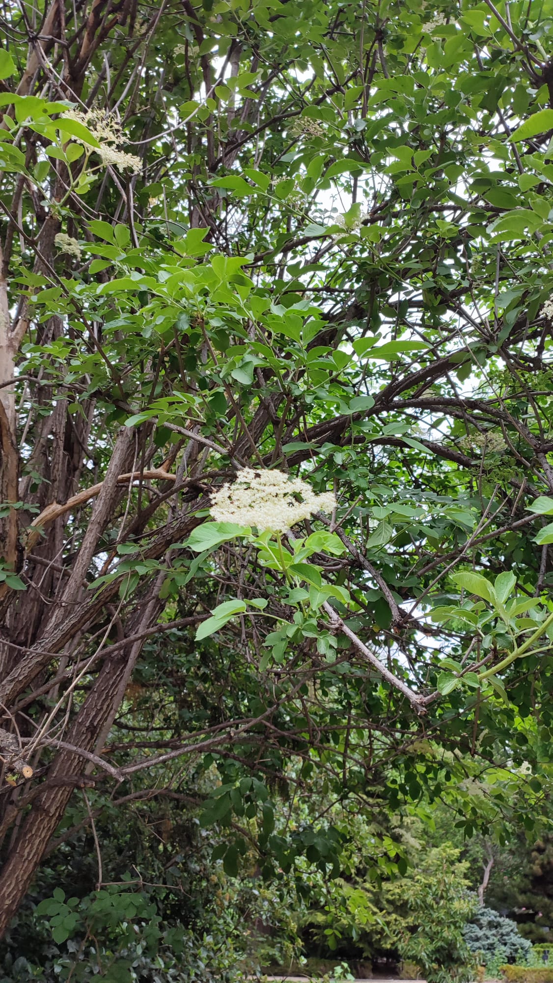IMG-20230429-WA0088